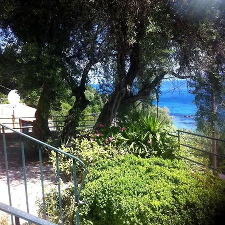 Fourtuna Apartman